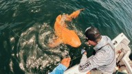 Pescadores descubren en Costa Rica un extraño tiburón naranja con ojos blancos (+Fotos)