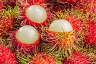 Rambután: La huaya asiática que conquista paladares en Campeche; conoce sus beneficios para la salud
