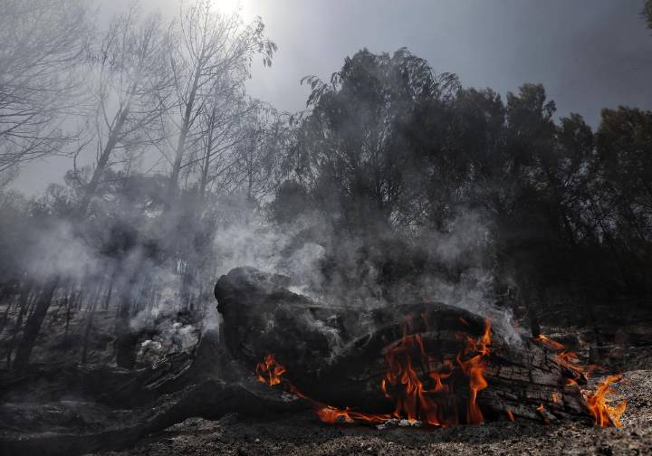 El Gobierno activa la fase de preemergencia ante los múltiples incendios de la península