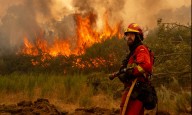 FOTOS: Arde Europa en plena ola de calor extremo; se registran temperaturas récord