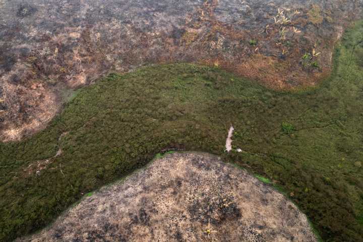 La deforestación en la Amazonía brasileña aumenta 4 % en el último año tras varias caídas