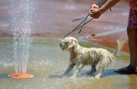 Mass. weather: Heat, humidity return on Monday amid warming trend