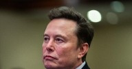 xAI Co-Founder Igor Babuschkin Departs Elon Musk's Empire