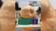 Canfield Fair announces winner of 2025 largest pumpkin competition