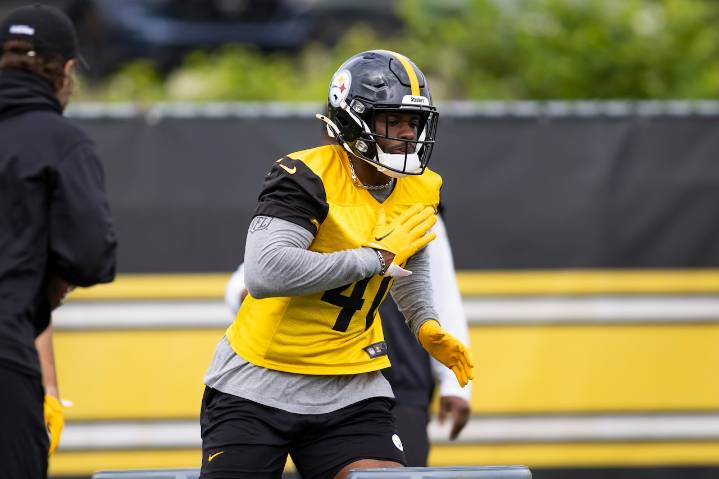 Pittsburgh Steelers lose hard-hitting linebacker for the season
