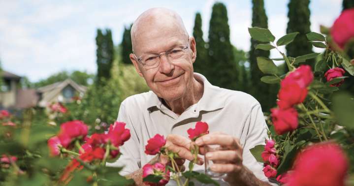 Will Radler Made the Knock Out Rose and Built a Dream Garden