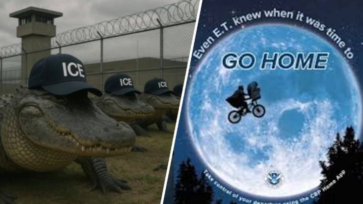 Mean memes: Why federal government's social media posts are sparking outage