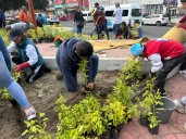 Más de 150 vecinos y servidores públicos participan en la paz en la 3ª jornada de reforestación sobre carretera México