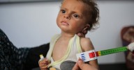 Famine is declared in Gaza: What does it take to make this pronouncement?