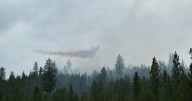 Lolo National Forest wildfire update (August 8)
