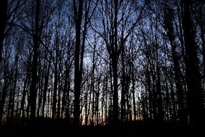 2 men, 2 children rescued after being lost overnight in Michigan swamp