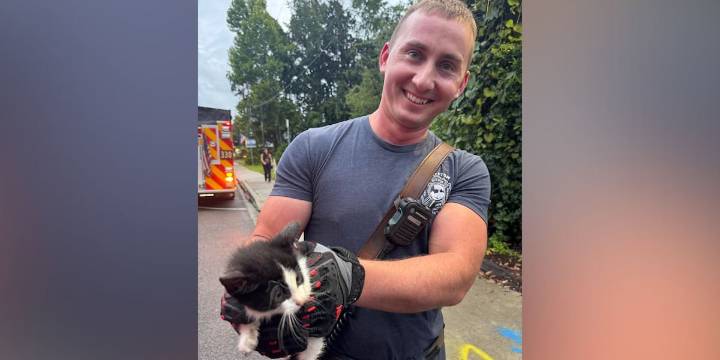 Bluffton firefighter rescues cat stuck in storm drain