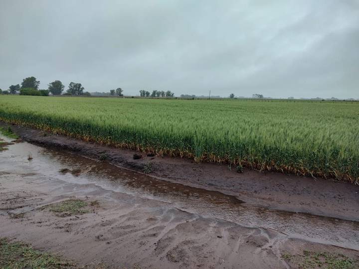 Pronóstico. Vuelven las lluvias, serán generalizadas, y alertan que en una región hay sequía