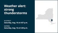 NY weather: Weather alert issued for strong thunderstorms in Dutchess County early Saturday evening