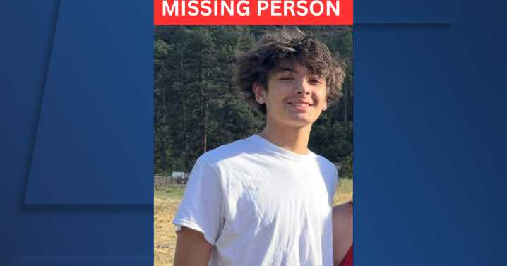 Olmsted Township Police searching for missing 14