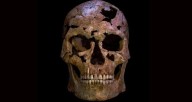 Prehistoric Man Killed With Quartz Arrow Found In Vietnam
