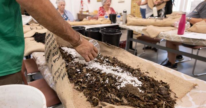 In the aftermath of L.A. fires, residents take soil cleanup into their own hands