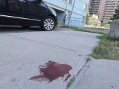 Scarborough shooting leaves man in life-threatening condition