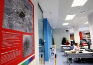 Aprueban la oferta de empleo de la Gerencia de Urbanismo