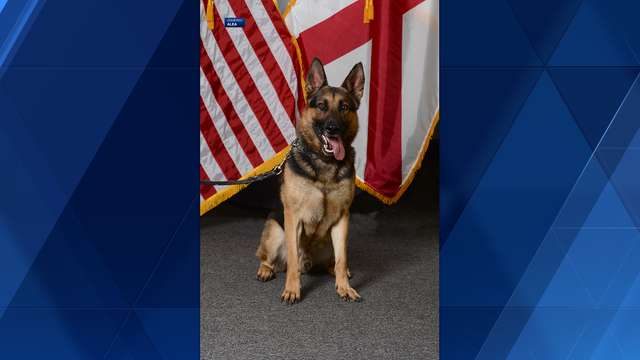 Alabama K-9 officer Matyko dies after medical emergency