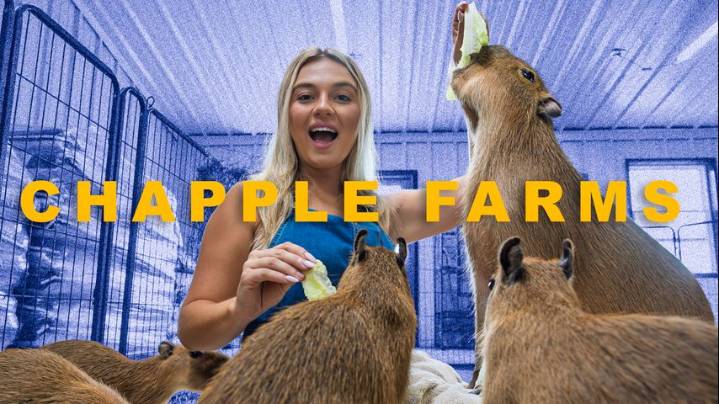One Tank Trips: Chapple Farms