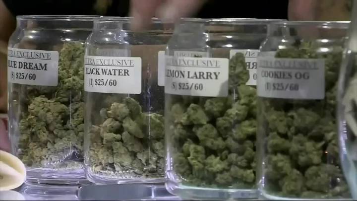 Recreational marijuana back on the table in Oklahoma with new petition drive