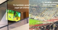 Hincha de Universitario prefiere jugar 'Crash' antes que ver la derrota crema ante Palmeiras