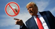 Deportación masiva en EE.UU.: Donald Trump eliminará la Green Card y desterrará a estos inmigrantes