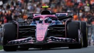 Tras las críticas de Flavio Briatore, Colapinto corre la última práctica y la clasificación del GP de Países Bajos