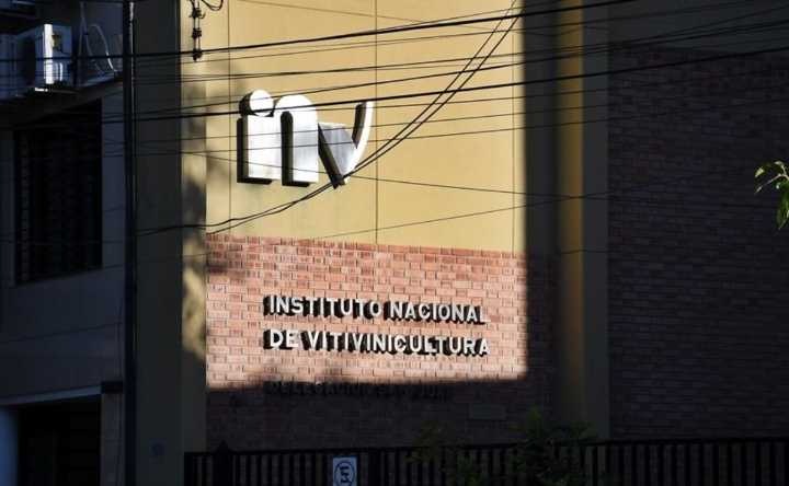 Cambios en el INV: cómo queda la nueva estructura del organismo clave para Mendoza