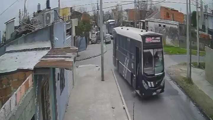 Lomas: la empresa Yitos emitió un comunicado a raíz del colectivero que atropelló y mató a una perra