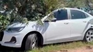 San Antonio de Areco: quién era la pareja que apareció muerta en un auto