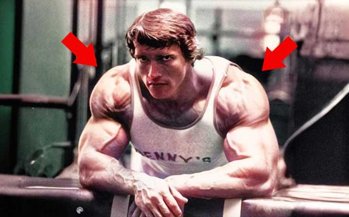 Build Boulder Shoulders: These 7 Forgotten Exercises Will CHANGE Your Physique.