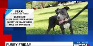 Furry Friday: Meet Pearl