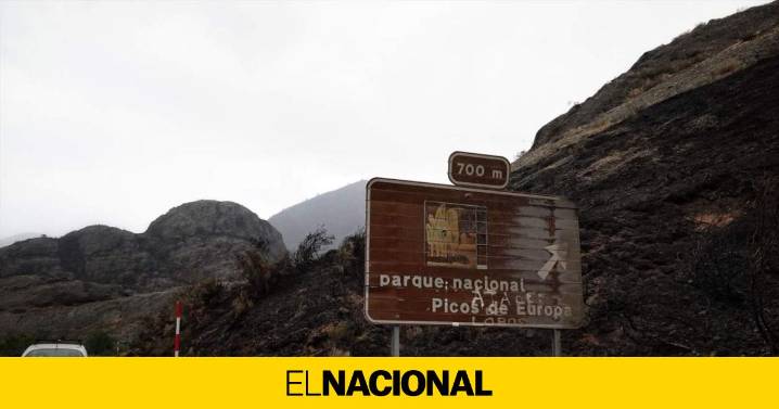 Los incendios siguen quemando en España con la mirada puesta en una mejor situación meteorológica