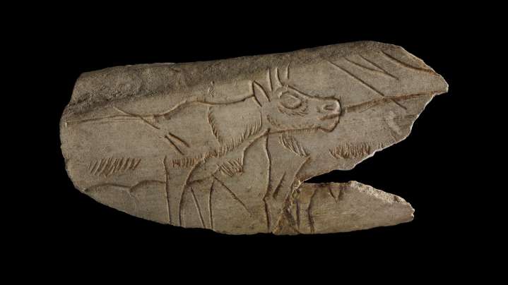 Jenny Linford explores the humanity of eating through the lens of the British Museum collection