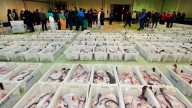 La orden de separar pescados difíciles de clasificar indigna a la flota española