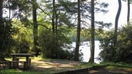 Blue Ridge Parkway campground to partially reopen after…