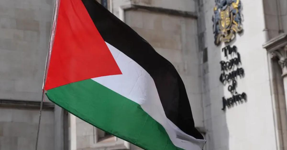 Palestine Action supporters charged after Westminster arrest