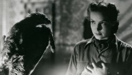 Homenajearán a María Félix con retrospectiva en el FICM 2025