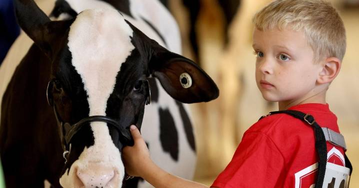 State Fair Guide: Everything you need to know about the 2025 NY State Fair