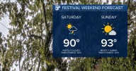 Fairly dry conditions the Duck Festival this weekend