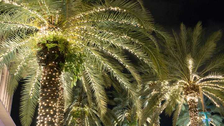 The Ultimate Guide to 2019 Holiday Events in South Florida