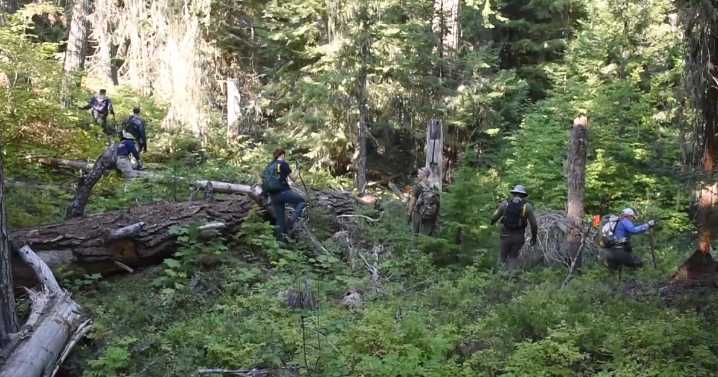 The FBI found bones while searching campground areas for Travis Decker