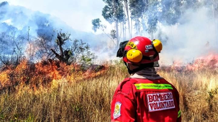 Incendios forestales disminuyeron en Cusco de acuerdo a información oficial del COER