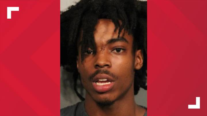 Guilty plea and 20-year sentence in Febres murder case