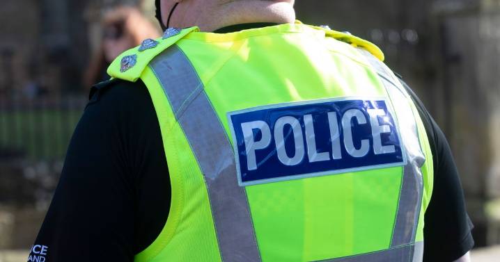 Motherwell drug bust as '874 cannabis plants' worth £500k discovered