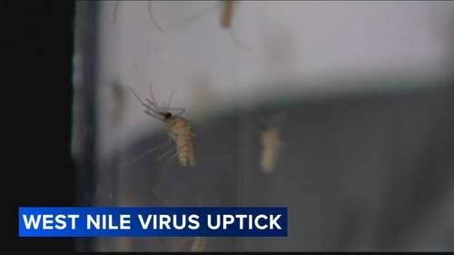 Delaware County sprays for mosquitoes after West Nile virus detected