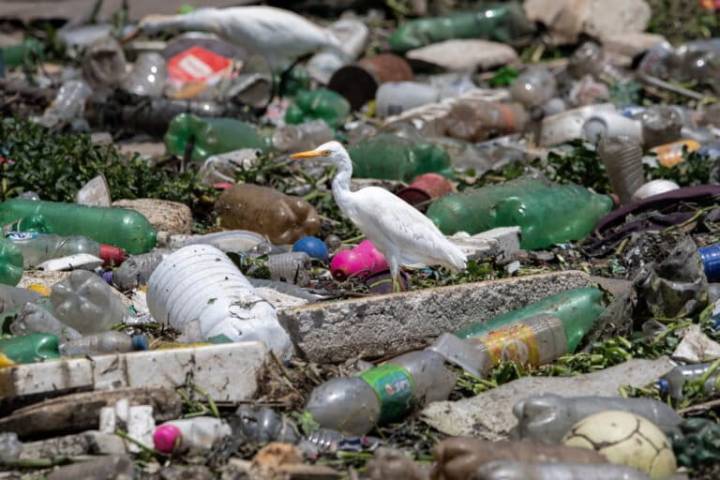 Waste-to-energy project could boost Brazil’s decarbonization goals