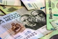 Podría subir la recaudación  en 5 puntos del PIB.